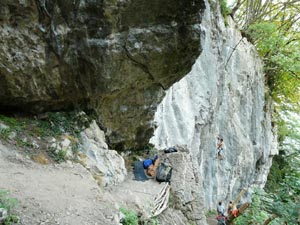 LARIOSAURO - Clicca per ingrandire